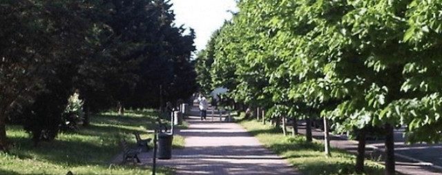 Via Domenico Modugno